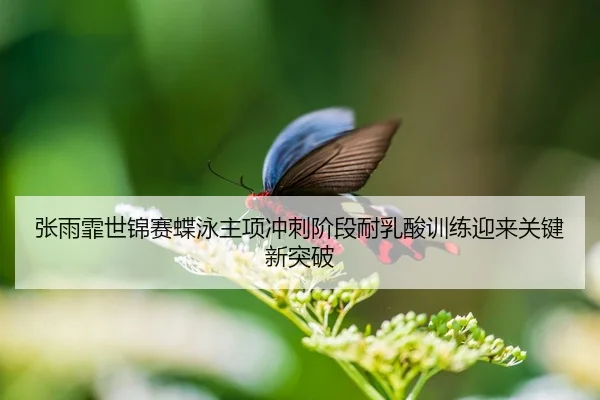 zhang-yu-fei-shi-jin-sai-die-yong-zhu-xiang-chong-ci-jie-duan-nai-ru-suan-xun-lian-ying-lai-guan-jian-xin-tu-po-2-935.jpg