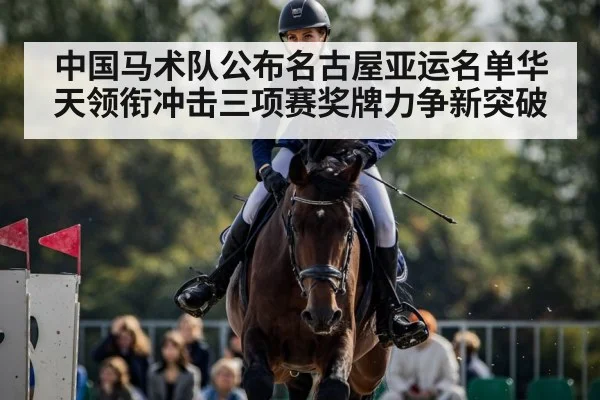 horse show jumping competition