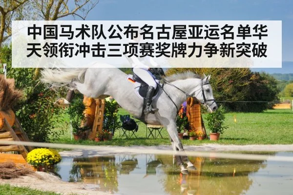 equestrian cross country horse